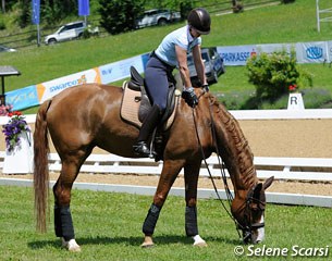 Isabell Werth allows Bella Rose to snack on the grass