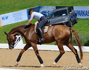 Werth schooling Bella Rose in Fritzens