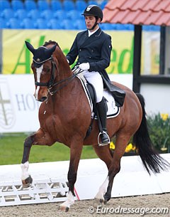 Spanish Severo Jurado Lopez on NOH's Daijoubo. The 9-year old Danish warmblood still appeared green at GP as he got slow behind in the extended trot and hollowed the back too much in passage