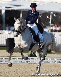 Coby van Baalen's student Kim Schmid on the Dutch bred Theodoor (by Metall x Purioso)