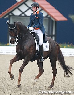 Diederik van Silfhout on his new rising Grand Prix horse Bonzango (by Jazz x Contango), the full brother to Minderhoud's Tango. Bonzanjo has a lovely silhouette in passage but crosses behind and in front in piaffe