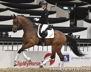 Hesselhoj Donkey Boy :: Photo © Ridehesten