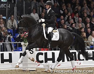 Allan Gron on St. Schufro at the 2015 Danish Warmblood Stallion Licensing :: Photo © Ridehesten