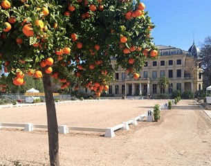 The main show ring at the 2015 CDI Jerez de la Frontera :: Photo © Peter Holler