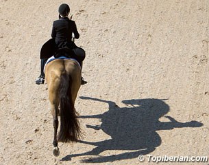 Dressage Art at the Royal School of Equestrian Art in Jerez de la Frontera