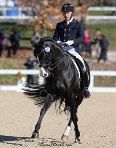 James Koford and Doctor Wendell MF at the 2015 U.S. Dressage Finals :: Photo © Sue Stickle