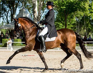 Jose Daniel Martin Dockx on Hampton Green Farm's Grandioso at the 2015 CDI Madrid :: Photo © Top Iberian