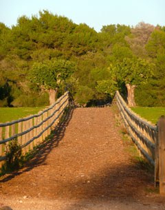 Miles of bridle paths at Es Fangar