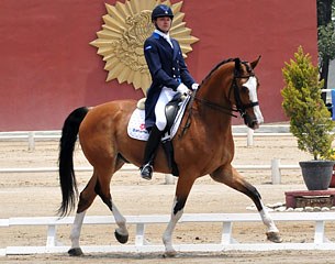 Enrique Palacios and NOH's Wizard at the 2015 CDN Mexico City :: Photo © Castro/Dressage Mexico