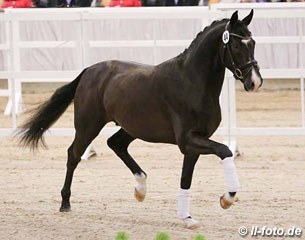 Impression Texel (by Sorento x Jazz)