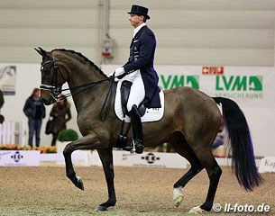 Patrik Kittel on the Oatley family's Delaunay (by Dr. Doolittle). The big bay was meant to be a horse for Lyndal Oatley but after not experiencing a clicking moment, Kittel took over the reins and now has a fourth GP horse to ride!