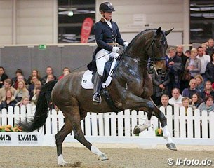 Isabell Werth's Laurenti (by Laurentio) is still green at Grand Prix and needs to develop more balance and regularity despite his expressive gaits