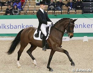 Daniel Bachmann and Loxana at their international debut. The mare got very tense and spooky in the unsettled Neumunster atmosphere and Bachmann retired from the test