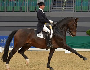 Heiner Schiergen aboard Hannah Erbe's 2015 European Junior Riders Champion Carlos at the 2015 CDN Nurnberg :: Photo © Rainer Dill