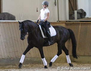 One of two competing PSG/I1 horses presented at the Symposium
