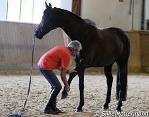 Stretching exercises were part of the treatment: ​Testing range of motion and mobilizing the entire shoulder girdle