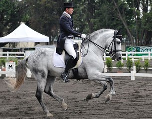 Antonio Rivera on his new ride, the PRE bred Leviton ARB (by Panameno IV x Zapatillo II), previously competed by Spanish Angel Dorado Martinez