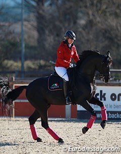 Show host Bernadette Brune schooling Di Magic (by Dimaggio x Rohdiamant) early in the morning
