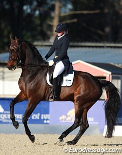 Swedish Amanda Eklund on Sambucus (by Sandakan x Bernstein)