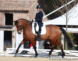 Vidauban show director Didier Ferrer on Oceane de Bellefond (by Subis x Leuwen)