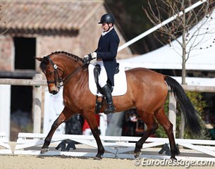 Vidauban show director Didier Ferrer on Oceane de Bellefond (by Subis x Leuwen)