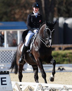 Stephanie Hartmann on Darek CH (by Dressage Royal x Capo)