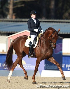 Jeanna Hogberg on the 5-year old Swedish warmblood Springbank VH (by Skovens Rafael x De Niro)