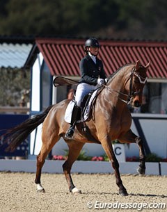 Sharon Höltschi on Conteur's Charmeur (by Conteur x Wenzel II)