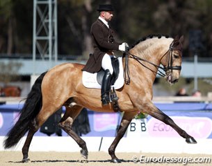 Ludovic Martin on the buckskin Qing de la Font