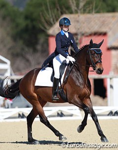 Matilde Pirazzini on Waronia L (by Sir Sinclair x Florestan)