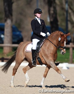 Lana Raumanns and Den Ostriks Dailan at the 2015 CDIO Vidauban :: Photo © Astrid Appels