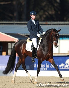 Mario van Orshaegen on the Oldenburg stallion San Amour II (by Sandro Hit x Plaisir d'Amour)