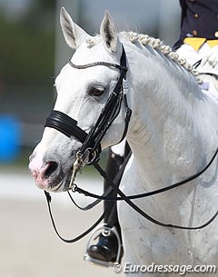 The Grand Prix winner, Raquel Falcao's Real