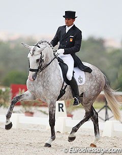 Definitely one of the attractions of the show: Spanish Jose Antonio Garcia Mena on the small tour horse Dragao Figueiras