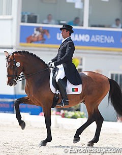 Daniel Pinto on the Lusitano x Trakehner cross bred Santurion de Massa (by Munchhausen)