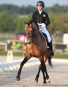 Manuel Vinagre and Almansor at the 2015 CDI Vilamoura :: Photo © Astrid Appels