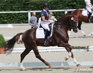 Danzarino OLD, Oldenburger stallion by Diamond Hit x Laurentio - Rider: Katrin Burger