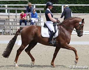 Bodyguard, Hanoverian stallion by Burlington x Pik L  - Rider: Jana Freund