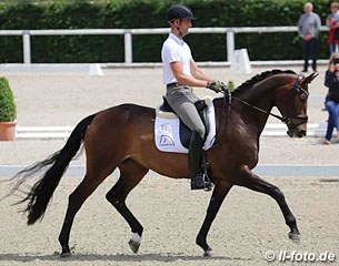 Sweetheart FH, Hanoverian mare by Hohenstein - Rider: Marcus Hermes