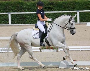 Fair Play H, Baden Württemberger gelding by Fürst Hohenstein x Disco-Tänzer  - Rider: Ines Knoll