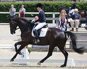 Lady Loxley M, Rhinelander mare by Lord Loxley x Abanos - Rider: Carola Koppelmann