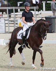 Quotenkönig, Westfalian stallion by Quaterback x Fürst Piccolo - Rider: Lisa Lindner