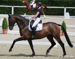 Brancusi, Trakehner gelding by Kaiserdom x Cupric xx  - Rider: Monika Mittermayer