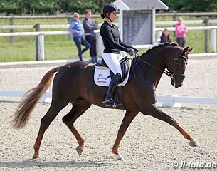 Vera Nass on Quantensprung, a Hanoverian stallion by Quando Quando x Donnerhall