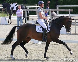 Claudia Rüscher on Florina, Hanoverian mare by Fürst Romancier x Donnerhall