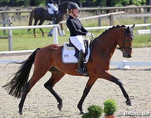 Tanja Sauerwald on Filius Bonacci H, Westfalian stallion by Filius Bedo x Rubinstein