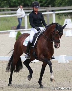 Stanford, Rhinelander stallion by Sir Donnerhall x Diamond Hit - Rider: Dorothee Schneider