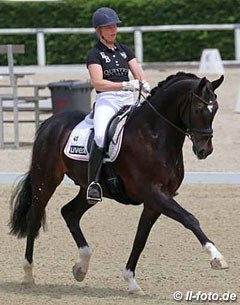 Ray Dance, Westfalian stallion by Rockwell x Van the Man - Rider: Ann-Christin Wienkamp