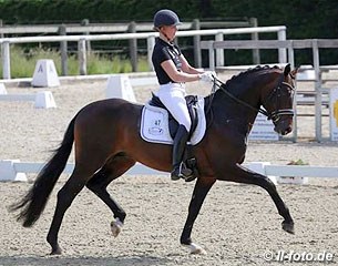 Ann Christin Wienkamp on Sir Olli, an Oldenburger stallion by Sir Donnerhall x Florestan I