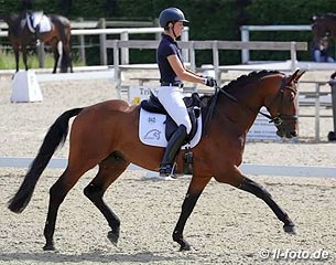 Stefanie Wolf on Rockman, a Westfalian stallion by Rock Forever I x Show Star